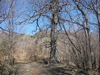 nte Fontane-01042012 120